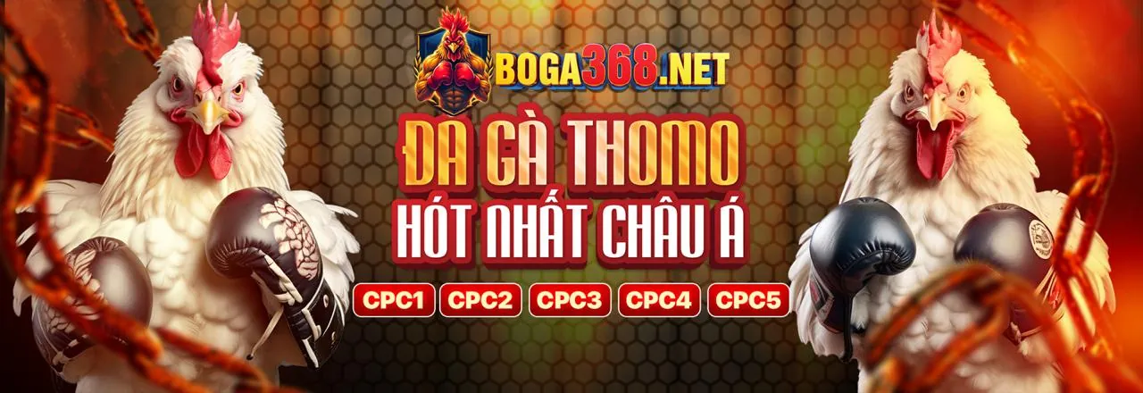 Đá Gà Trực Tuyến Hấp Dẫn Tại gaca.67